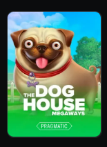 Ruleta y juegos en vivo en JetTon